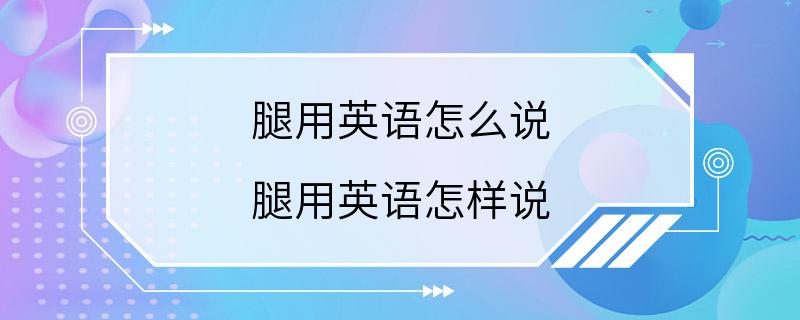 腿用英语怎么说 腿用英语怎样说