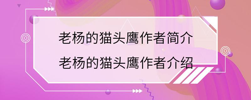 老杨的猫头鹰作者简介 老杨的猫头鹰作者介绍