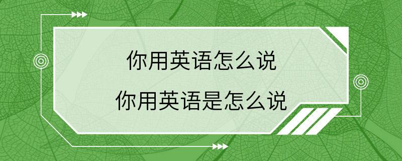 你用英语怎么说 你用英语是怎么说