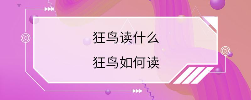 狂鸟读什么 狂鸟如何读