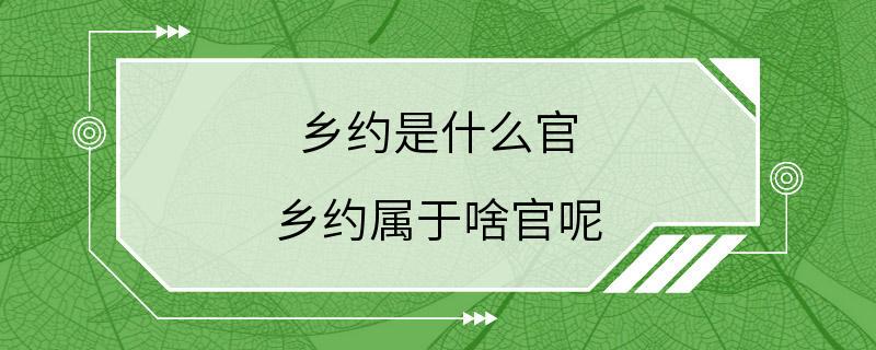 乡约是什么官 乡约属于啥官呢