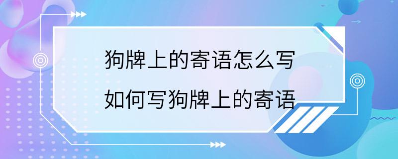 狗牌上的寄语怎么写 如何写狗牌上的寄语