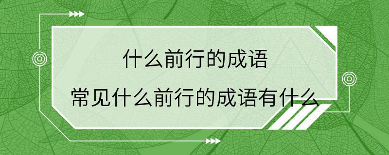 什么前行的成语 常见什么前行的成语有什么