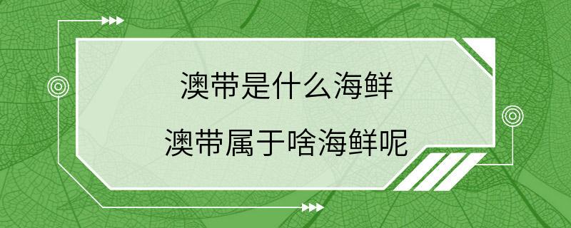 澳带是什么海鲜 澳带属于啥海鲜呢