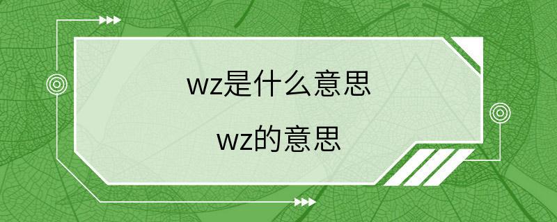 wz是什么意思 wz的意思