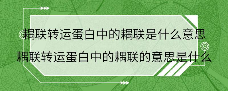 耦联转运蛋白中的耦联是什么意思 耦联转运蛋白中的耦联的意思是什么