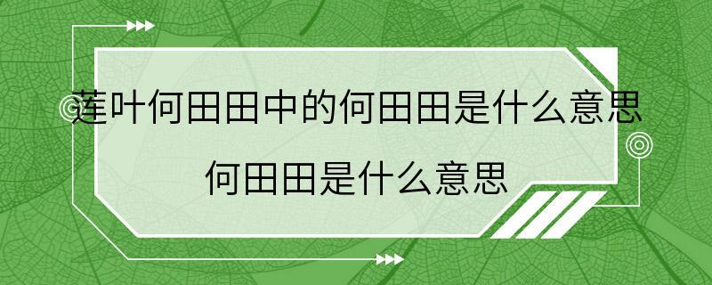 莲叶何田田中的何田田是什么意思 何田田是什么意思