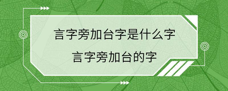 言字旁加台字是什么字 言字旁加台的字