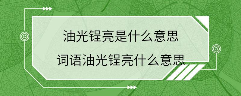 油光锃亮是什么意思 词语油光锃亮什么意思