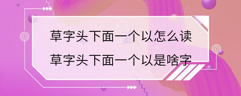 草字头下面一个以怎么读 草字头下面一个以是啥字