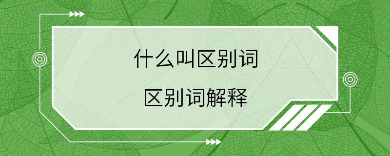 什么叫区别词 区别词解释