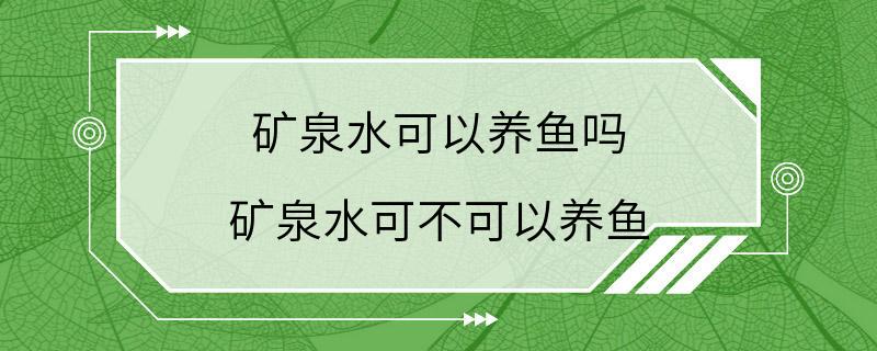 矿泉水可以养鱼吗 矿泉水可不可以养鱼