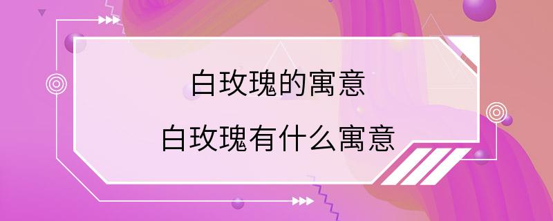 白玫瑰的寓意 白玫瑰有什么寓意