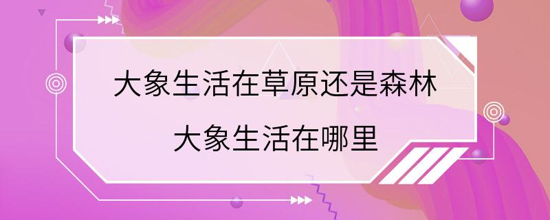 大象生活在草原还是森林 大象生活在哪里