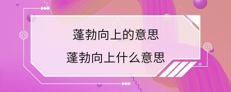 蓬勃向上的意思 蓬勃向上什么意思