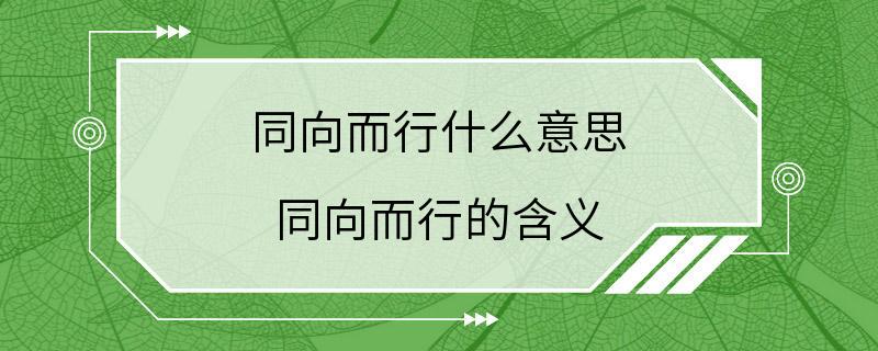 同向而行什么意思 同向而行的含义