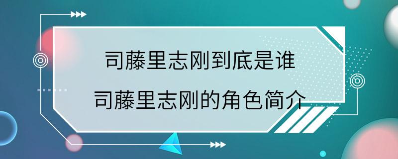 司藤里志刚到底是谁 司藤里志刚的角色简介