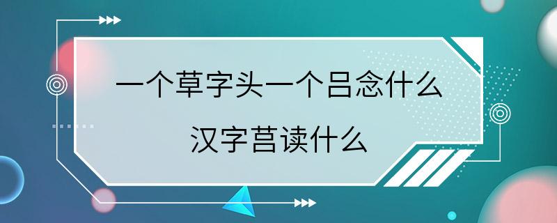 一个草字头一个吕念什么 汉字莒读什么