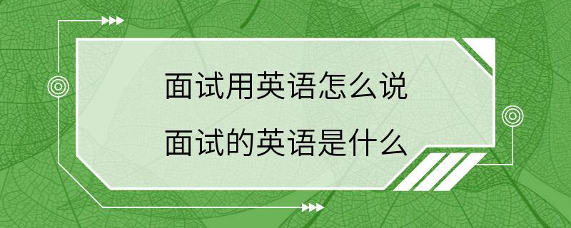 面试用英语怎么说 面试的英语是什么