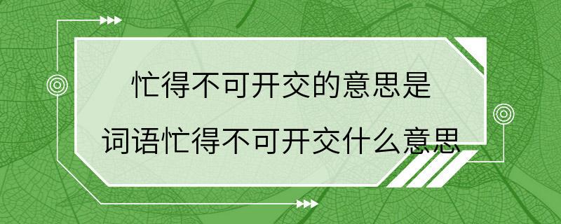 忙得不可开交的意思是 词语忙得不可开交什么意思