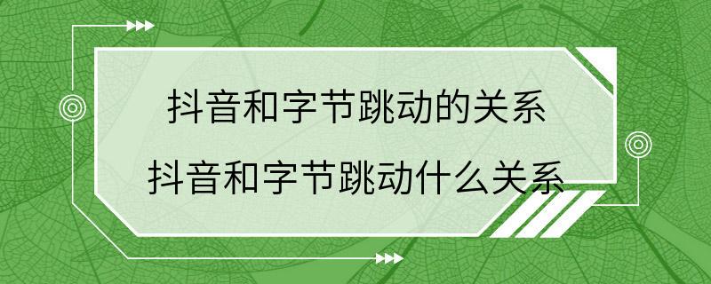 抖音和字节跳动的关系 抖音和字节跳动什么关系