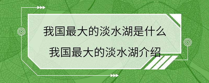 我国最大的淡水湖是什么 我国最大的淡水湖介绍