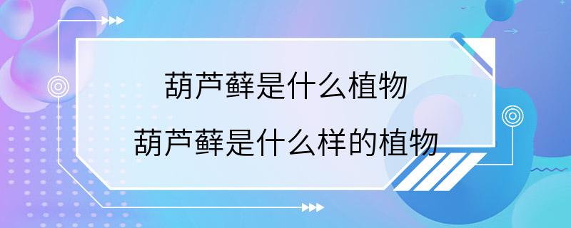 葫芦藓是什么植物 葫芦藓是什么样的植物