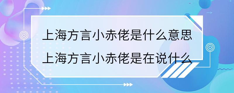 上海方言小赤佬是什么意思 上海方言小赤佬是在说什么