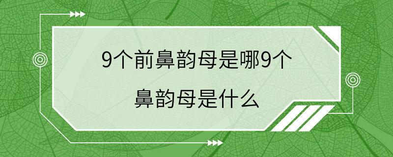 9个前鼻韵母是哪9个 鼻韵母是什么