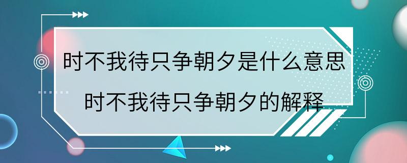 时不我待只争朝夕是什么意思 时不我待只争朝夕的解释