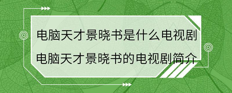 电脑天才景晓书是什么电视剧 电脑天才景晓书的电视剧简介