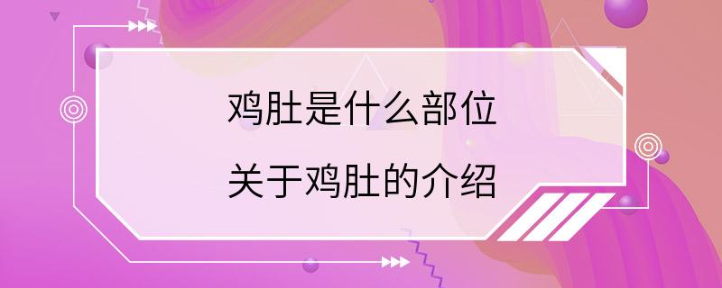 鸡肚是什么部位 关于鸡肚的介绍