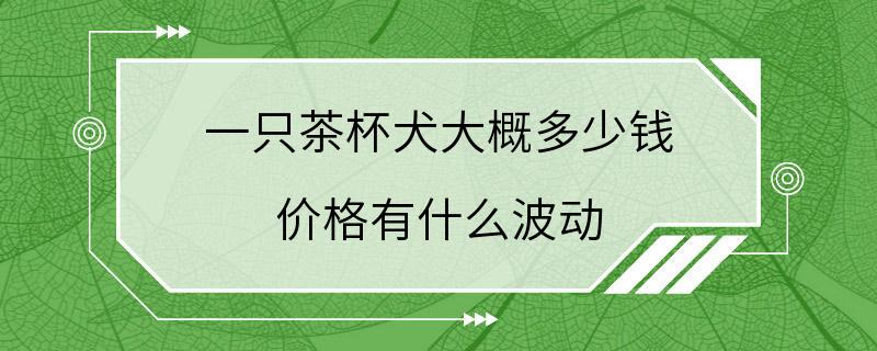 一只茶杯犬大概多少钱 价格有什么波动