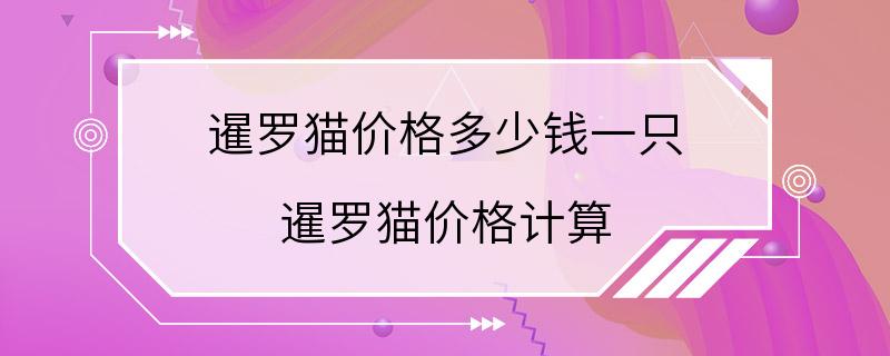 暹罗猫价格多少钱一只 暹罗猫价格计算