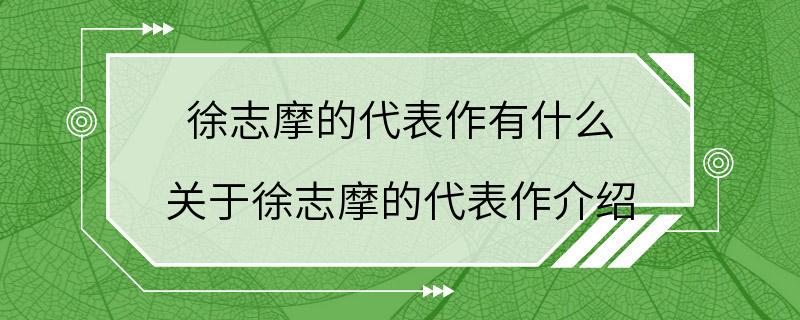 徐志摩的代表作有什么 关于徐志摩的代表作介绍