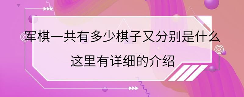 军棋一共有多少棋子又分别是什么 这里有详细的介绍