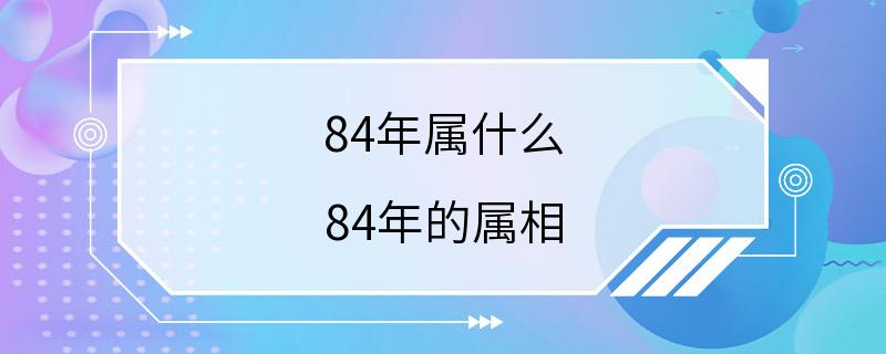 84年属什么 84年的属相