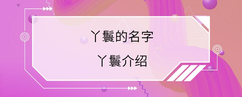 丫鬟的名字 丫鬟介绍