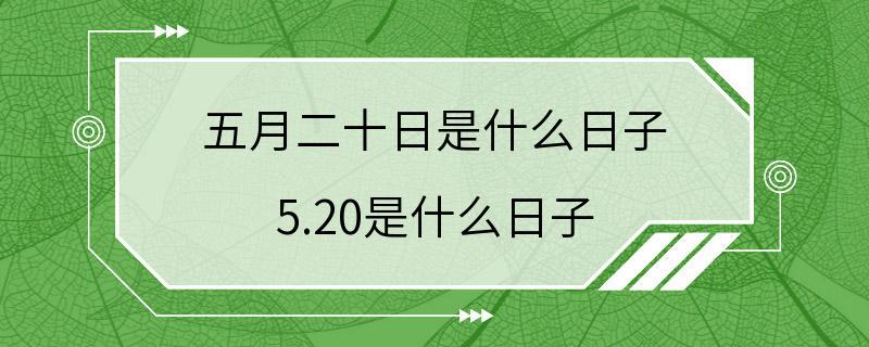 五月二十日是什么日子 5.20是什么日子