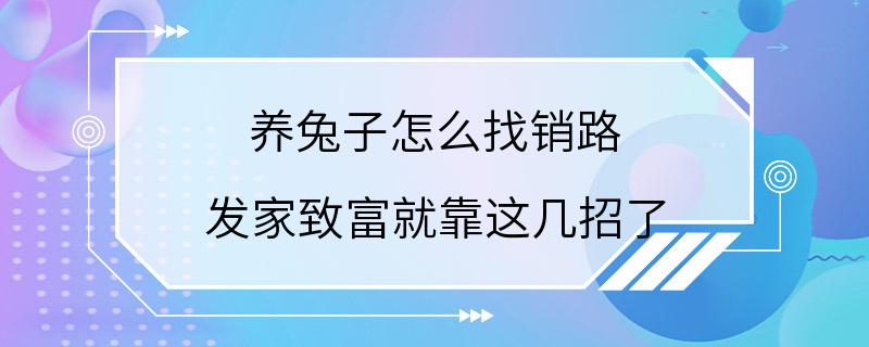 养兔子怎么找销路 发家致富就靠这几招了