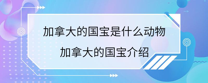 加拿大的国宝是什么动物 加拿大的国宝介绍