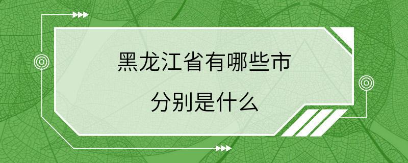 黑龙江省有哪些市 分别是什么