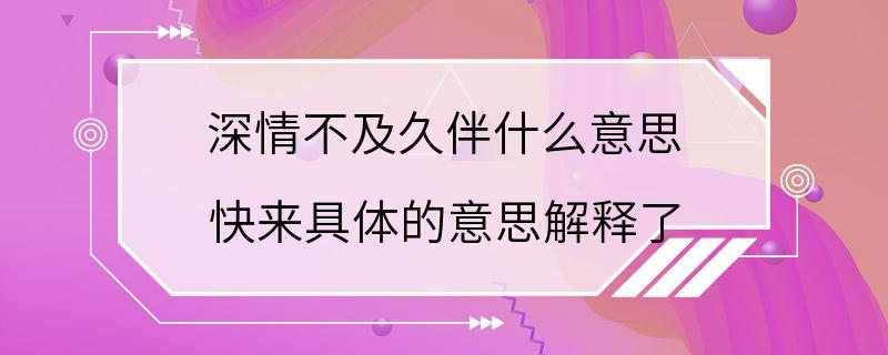 深情不及久伴什么意思 快来具体的意思解释了