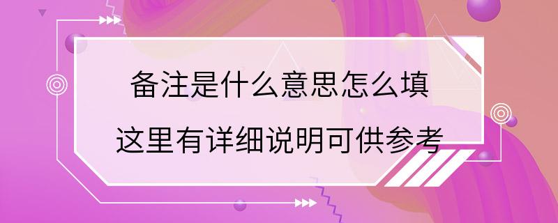 备注是什么意思怎么填 这里有详细说明可供参考