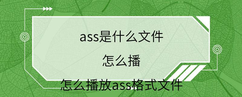 ass是什么文件 怎么播 怎么播放ass格式文件