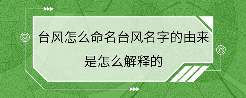 台风怎么命名台风名字的由来 是怎么解释的