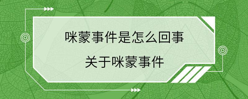 咪蒙事件是怎么回事 关于咪蒙事件