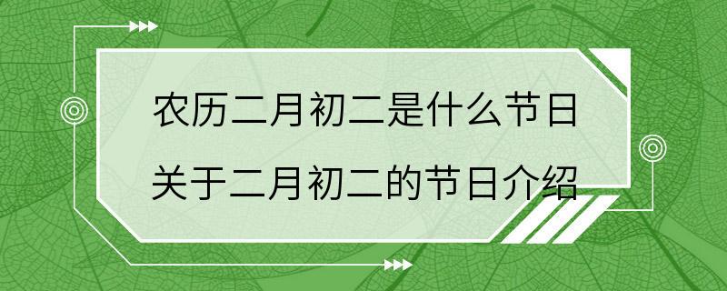 农历二月初二是什么节日 关于二月初二的节日介绍