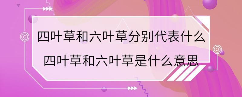 四叶草和六叶草分别代表什么 四叶草和六叶草是什么意思