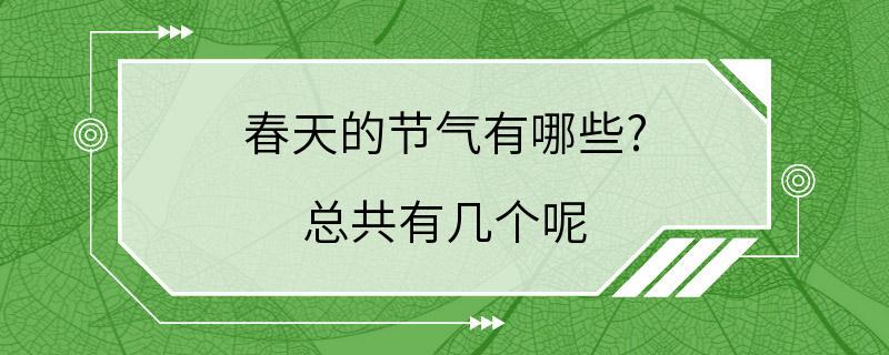 春天的节气有哪些? 总共有几个呢